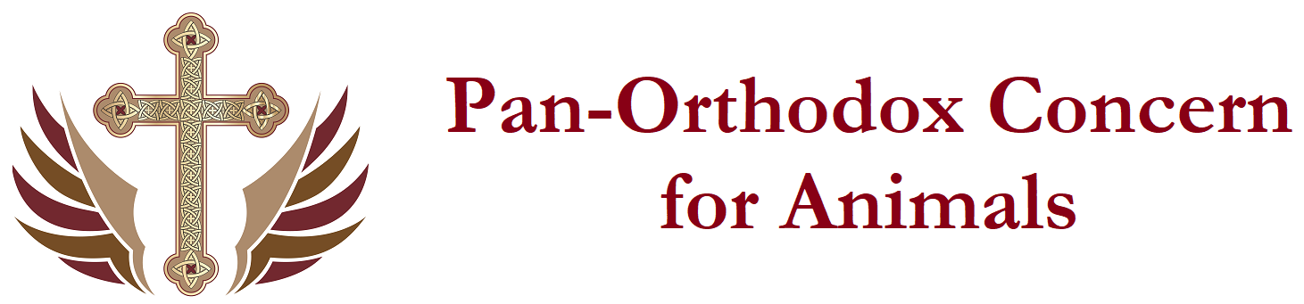 cropped-orthodoxconcern-header-2 client-image